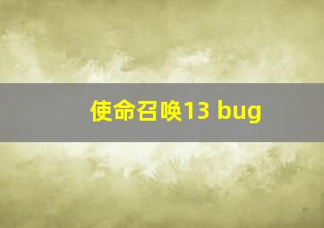 使命召唤13 bug